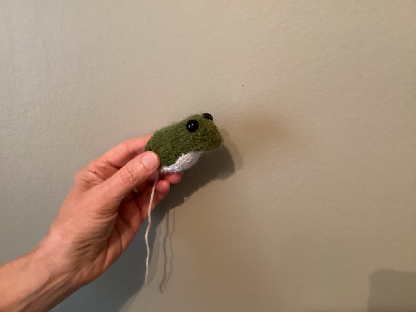Customer photo review of Five Little Frogs Knitting Kit