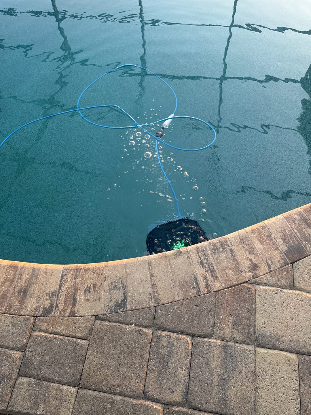 Customer photo review of Maytronics Dolphin S2000 Corded Robotic Pool Vacuum