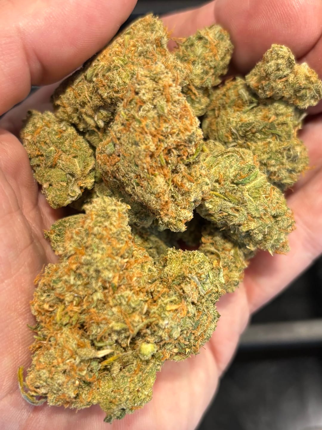 Customer photo review of Jack Herer - Indoor - 14 Grams - Sativa