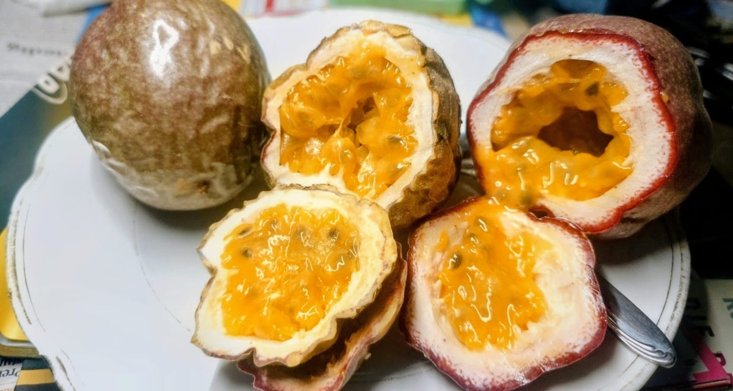 Customer photo review of Passionsfrüchte von Julian Sonderaktion %