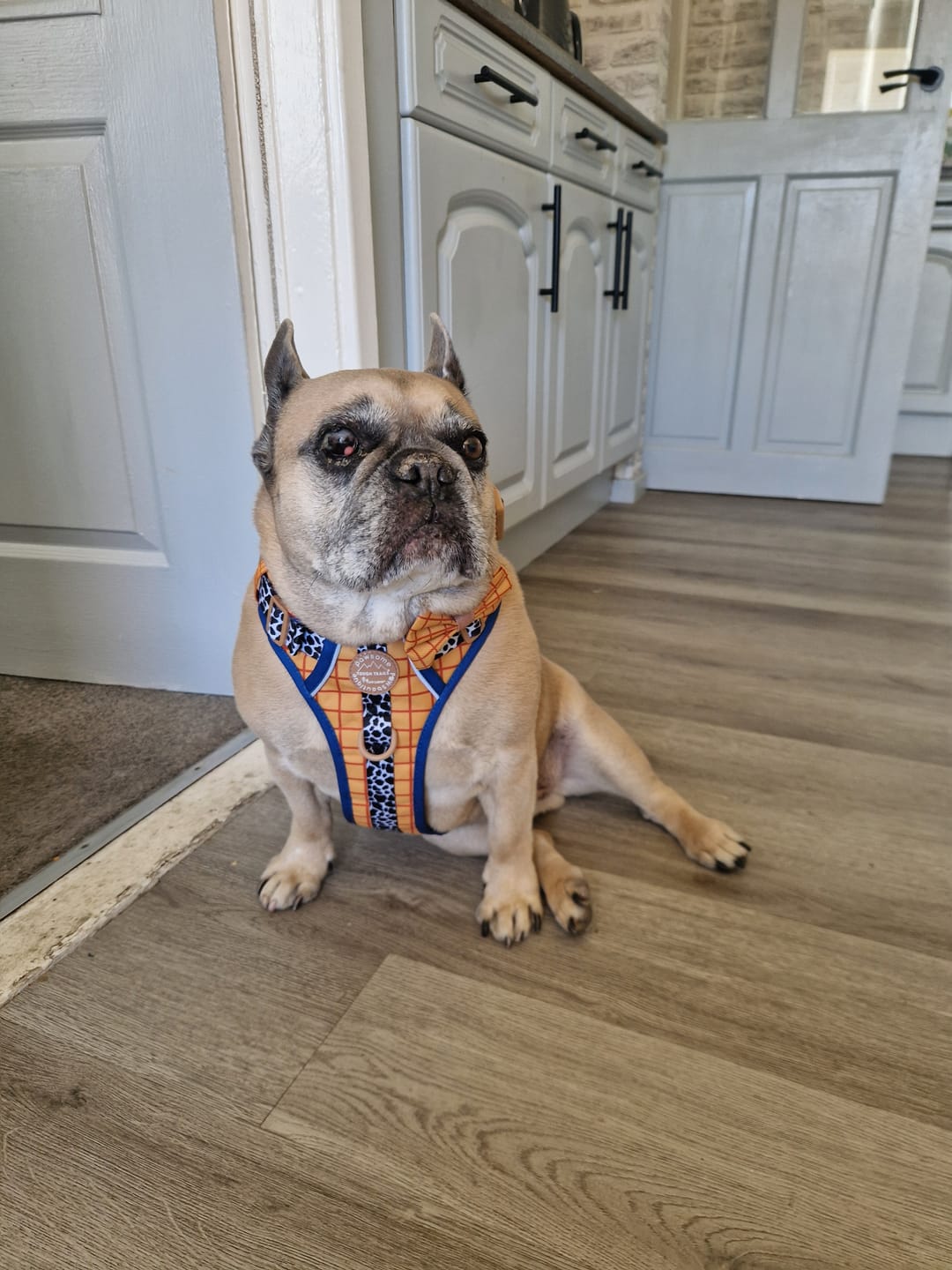 Customer photo review of Disney© Bow Tie - Woody