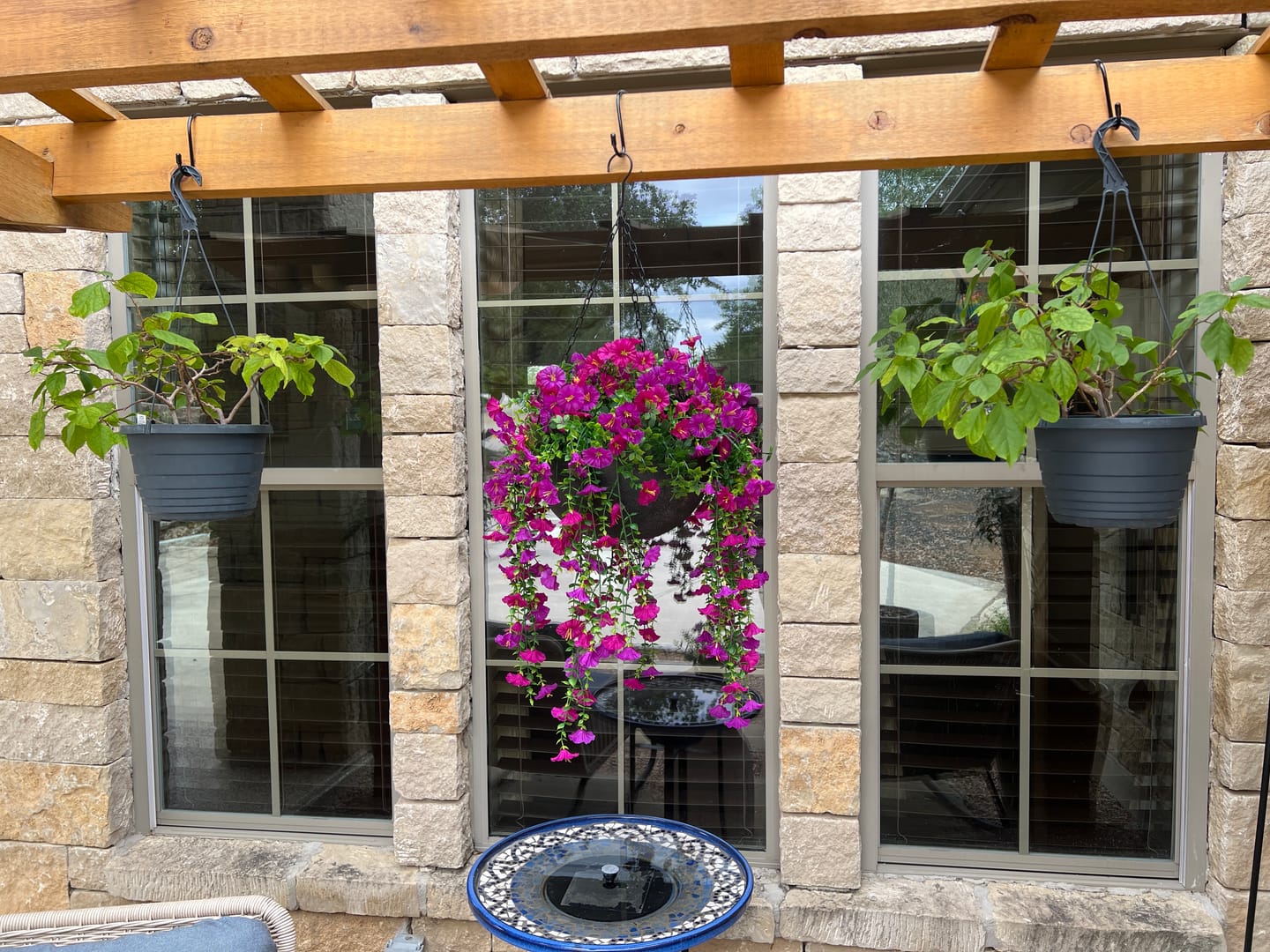 Customer photo review of Outdoor Hanging Petunia Basket - Purple