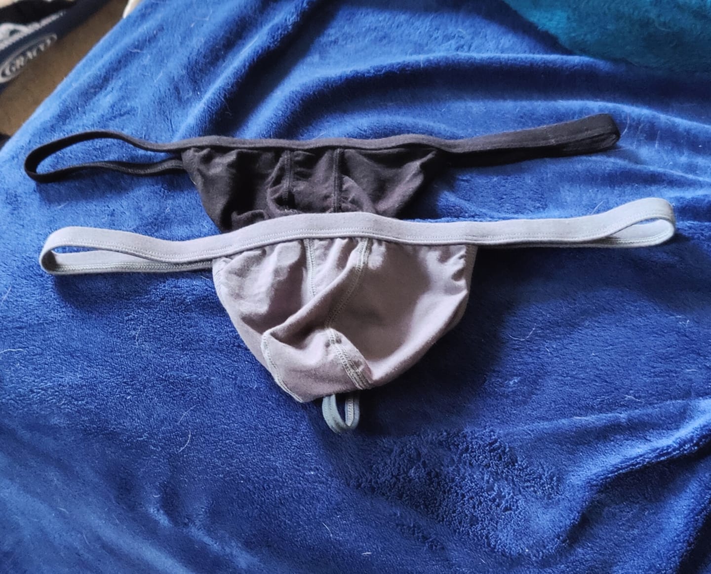 Customer photo review of Modal 0in Thong No Fly 3pk Black/Grey/Cyan