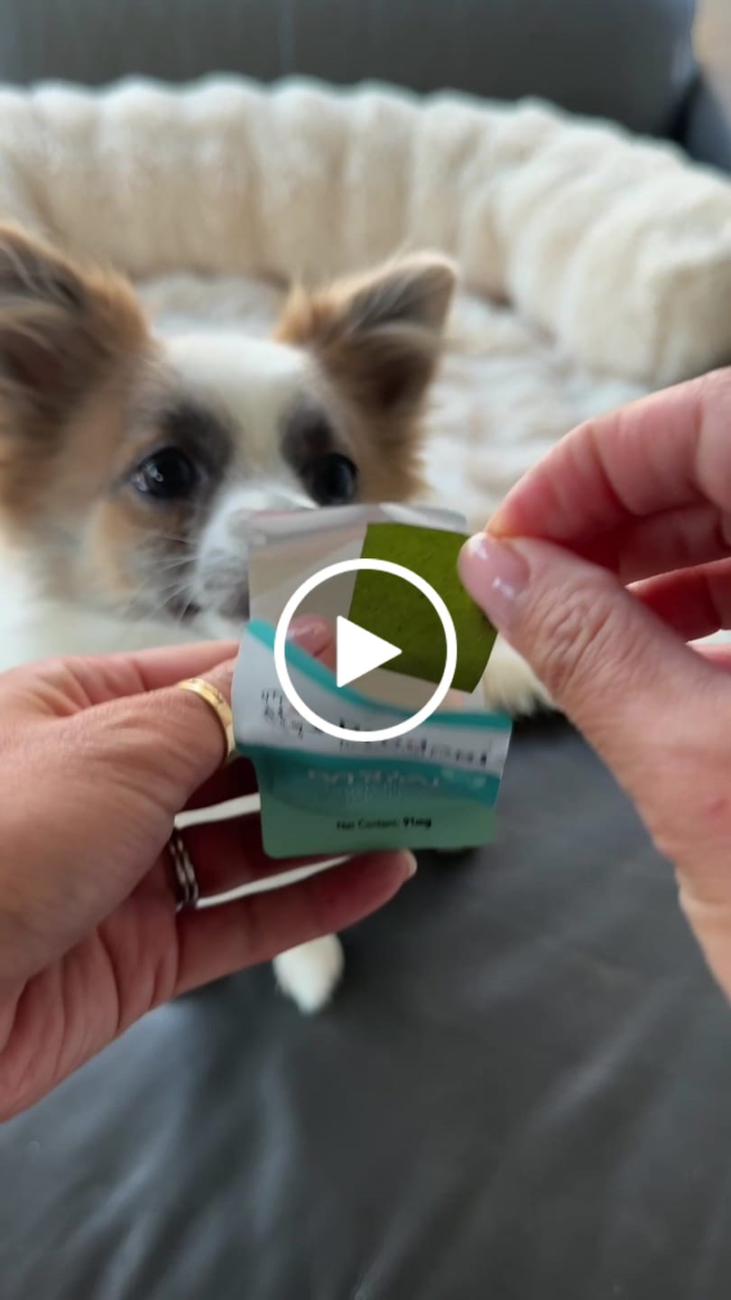 Customer video review of DENTAL STRIPS