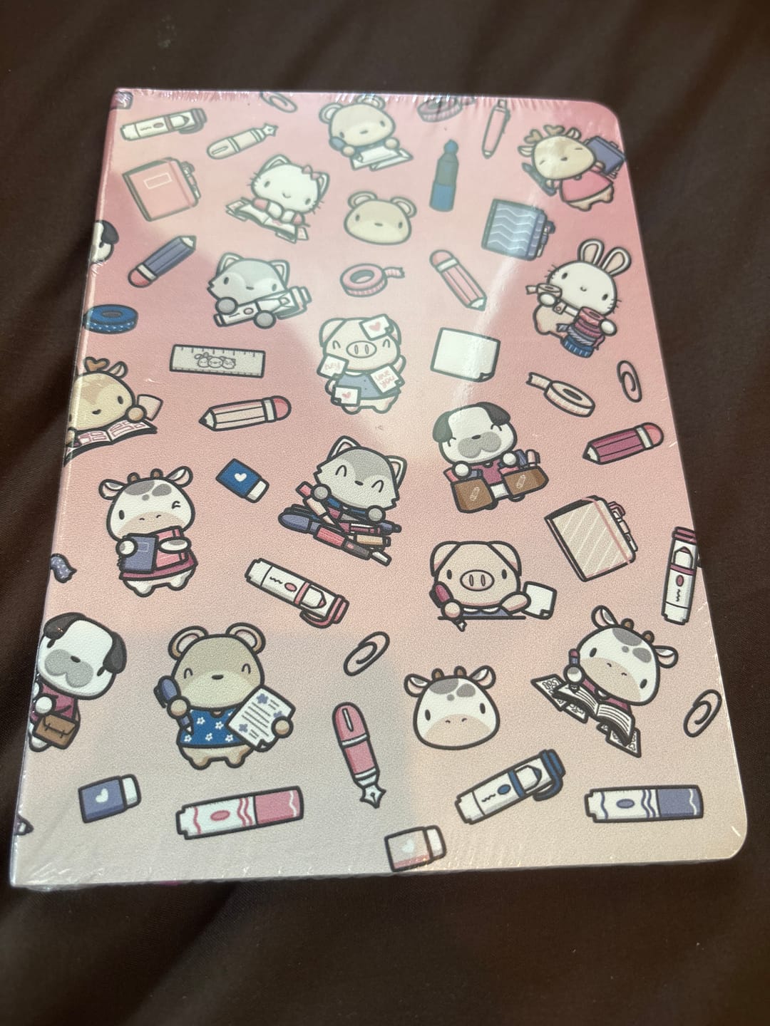 Customer photo review of Stationery Buddies Box Set