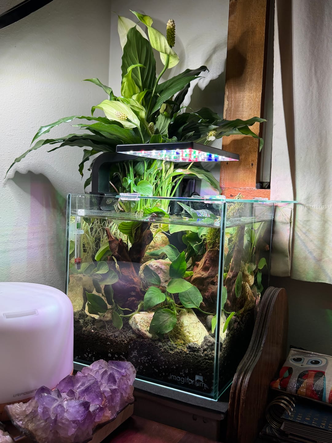 Customer photo review of WIO - Powervol Base