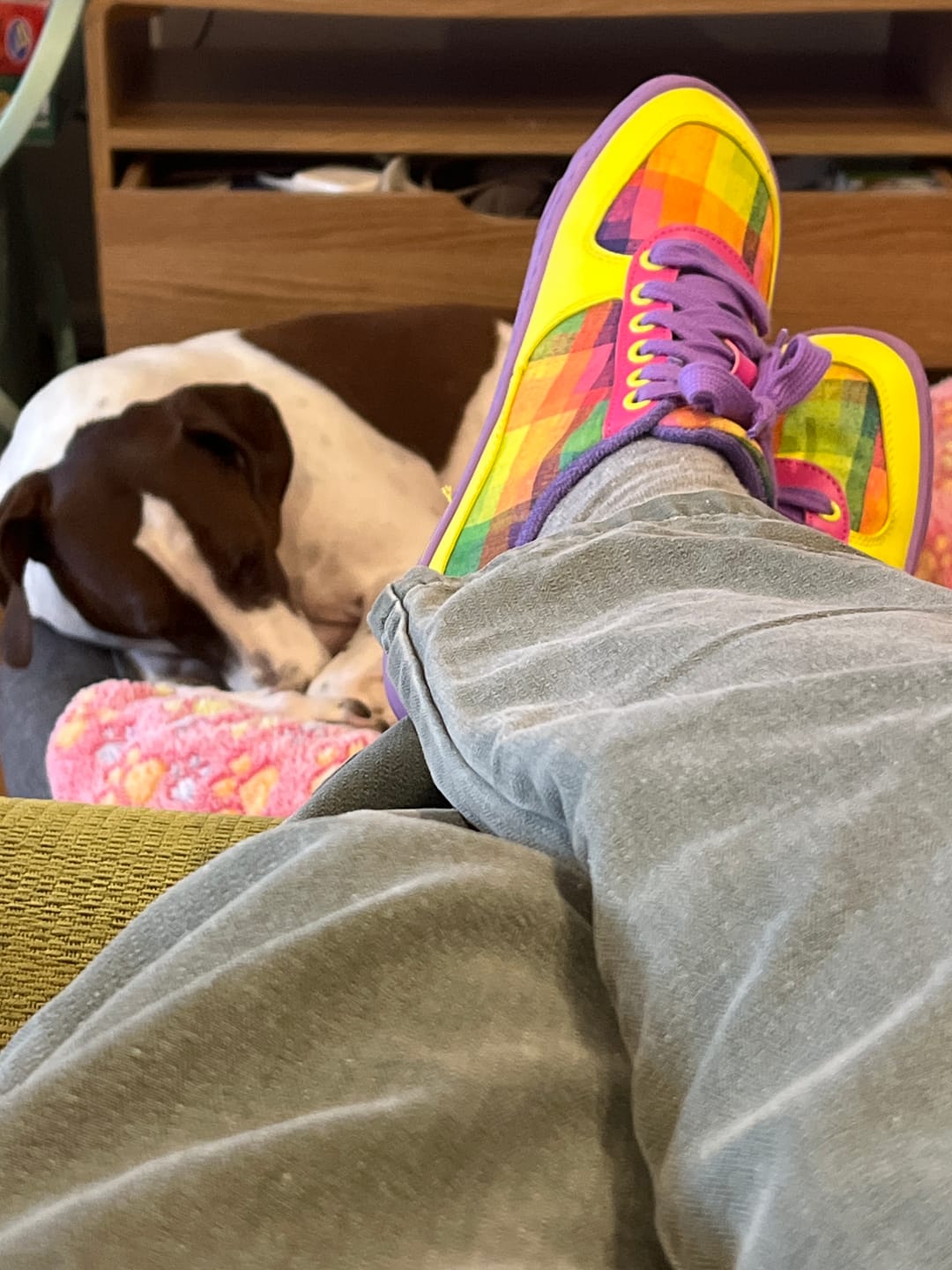 Customer photo review of CHECKERED JOY - ADULTS