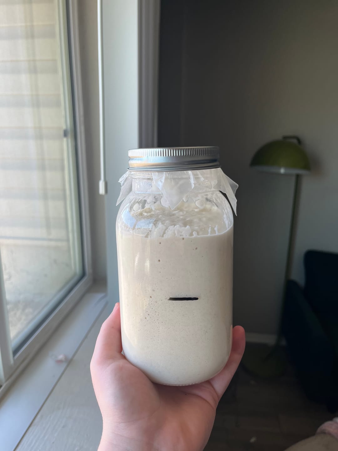 Customer photo review of Sourdough Starter (Dehydrated)