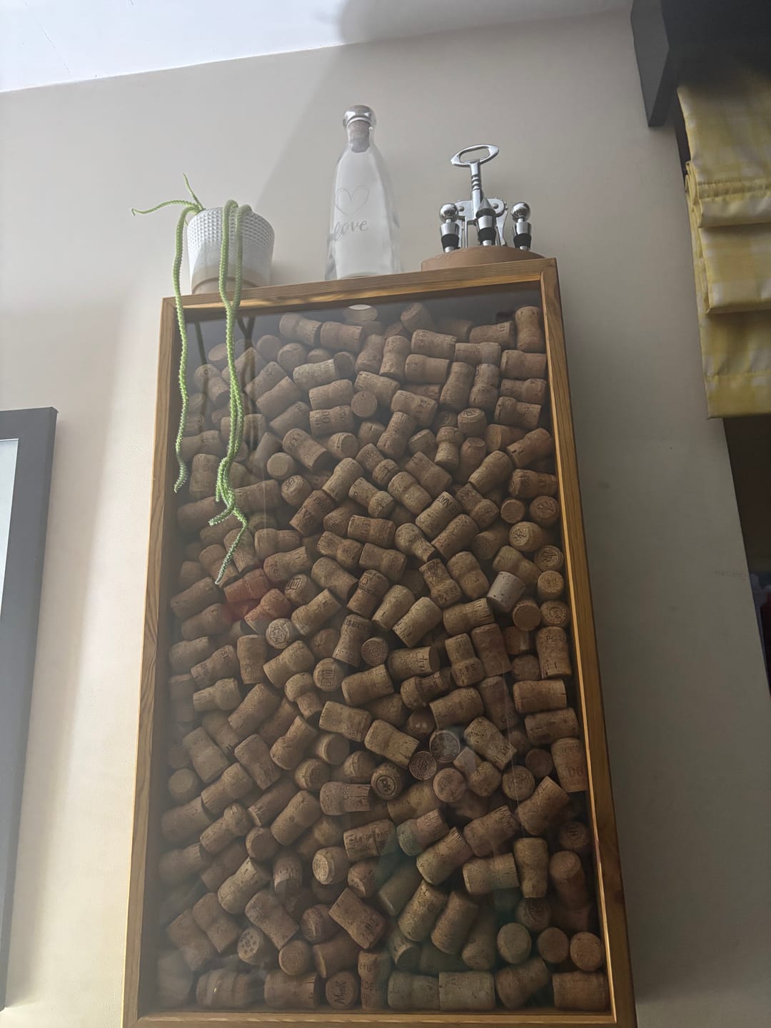 Customer photo review of CLEAR