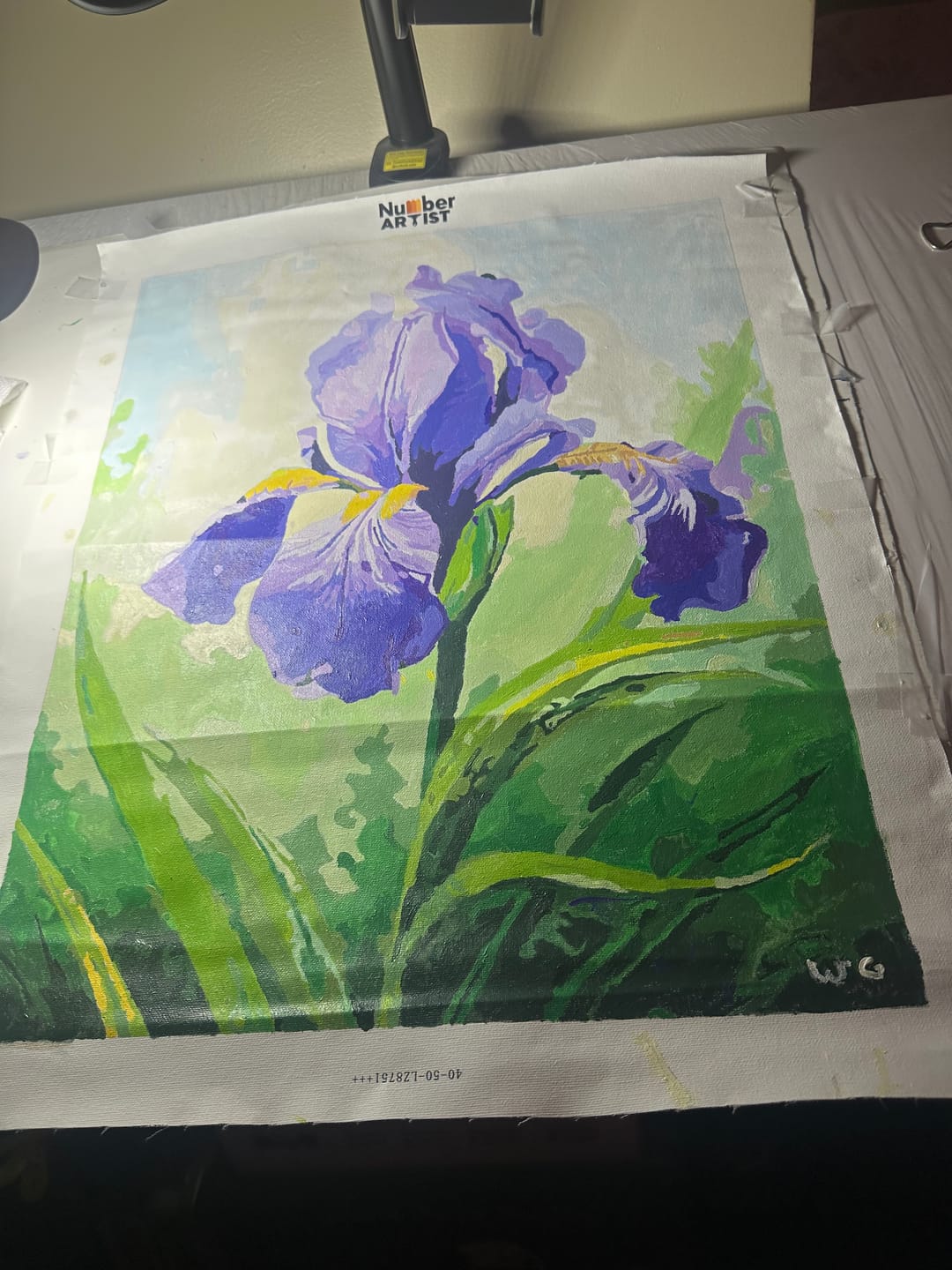 Customer photo review of Sunlit Iris