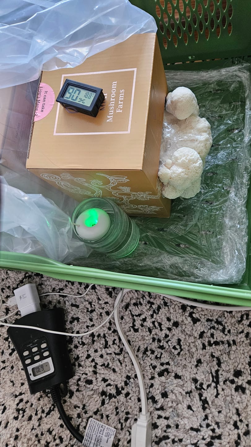 Customer photo review of 4 Grow Kits Variety Pack