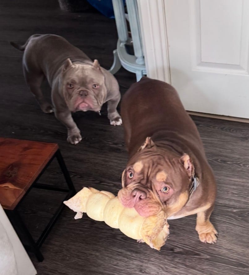 Customer photo review of 10-12 Inch Peanut Butter Cheek Roll