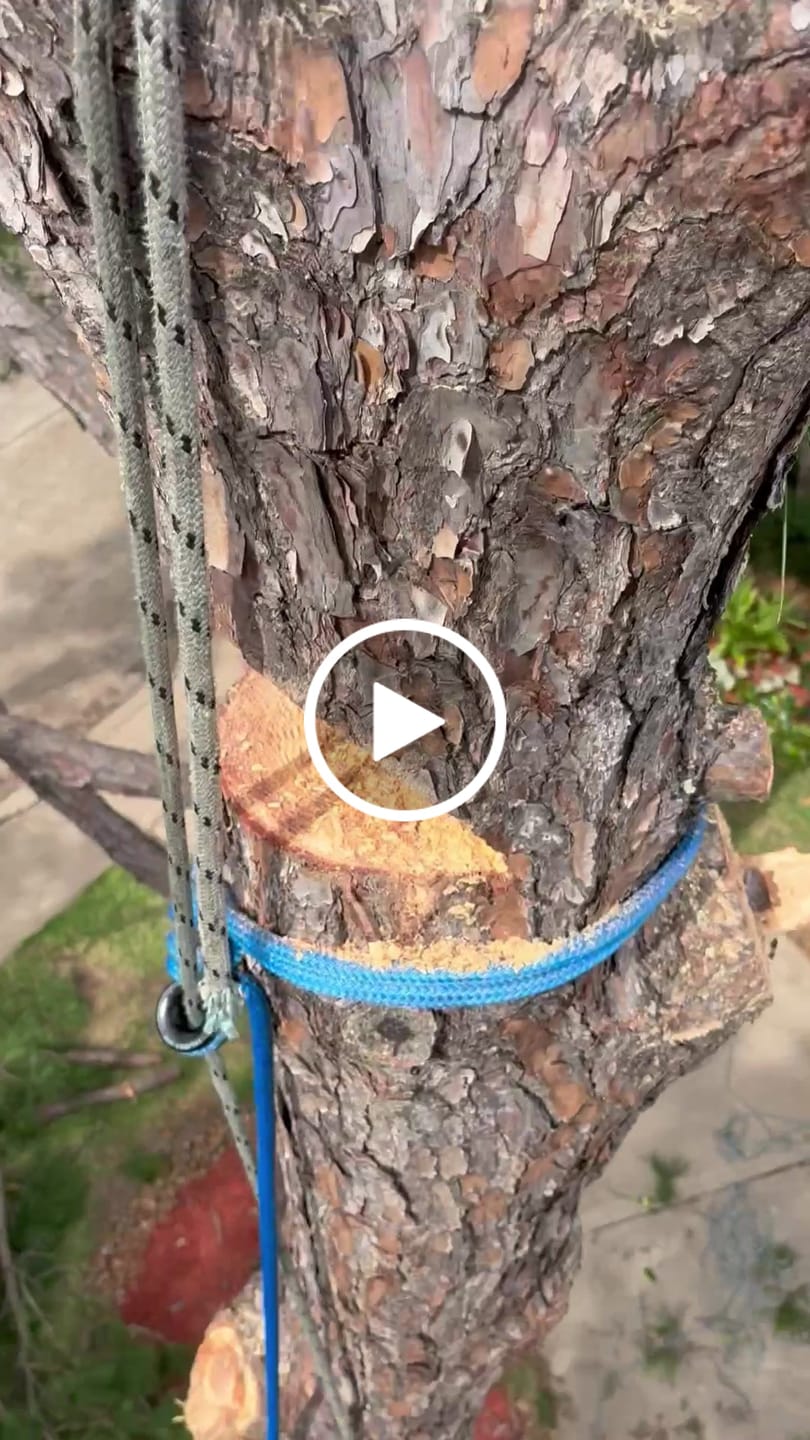 Customer video review of 9/16" Arbo Space LDB #1 Ring Sling