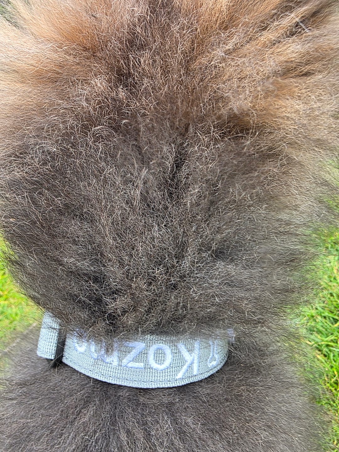 Customer photo review of 2.5cm Combat® Collar | With Handle & Rated Clip - Metal Grey