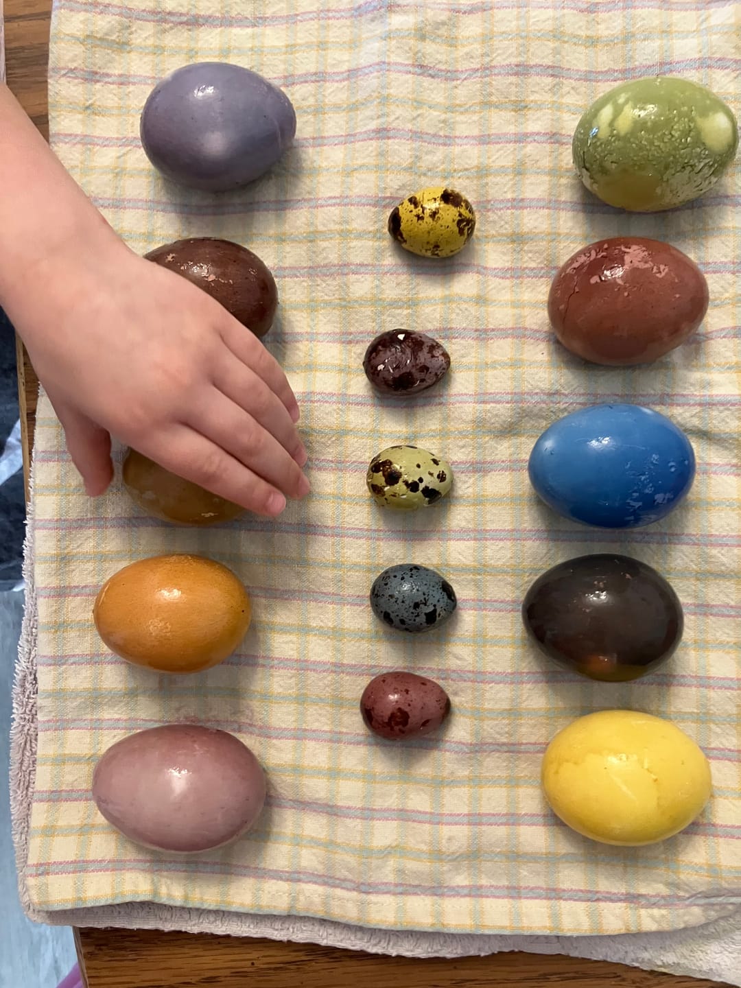 Customer photo review of Spring Curriculum (2nd Edition)