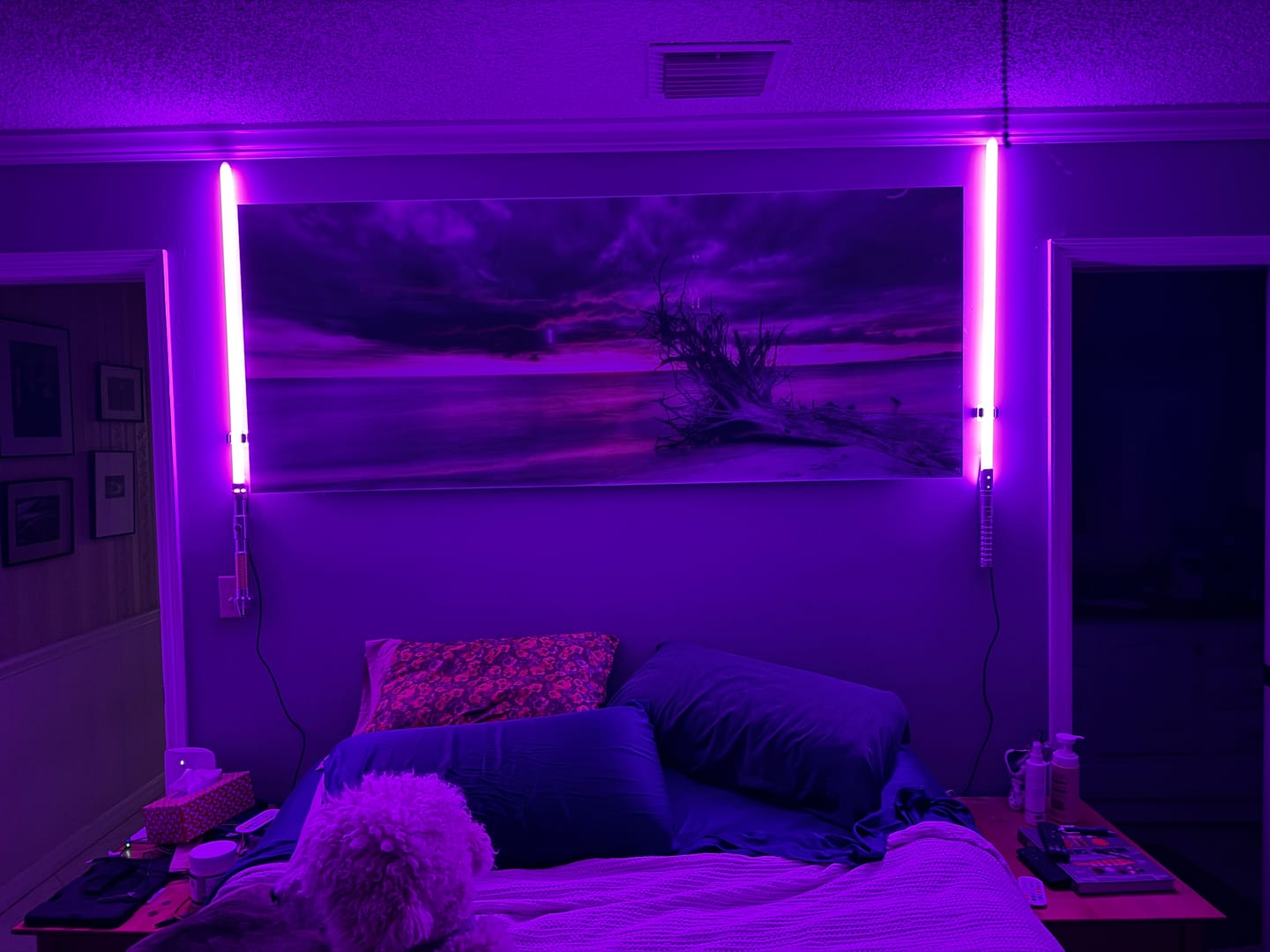 Customer photo review of Saber Display Light