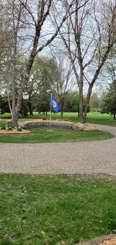 Reviewer's old-style State of Minnesota Flag flying on a flagpole in a landscaped yard with a brick driveway.