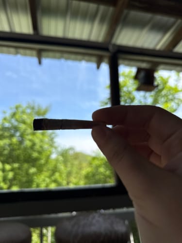 Customer photo review of 10CT BLUE RASPBERRY LEMONADE COATED PRE-ROLLS