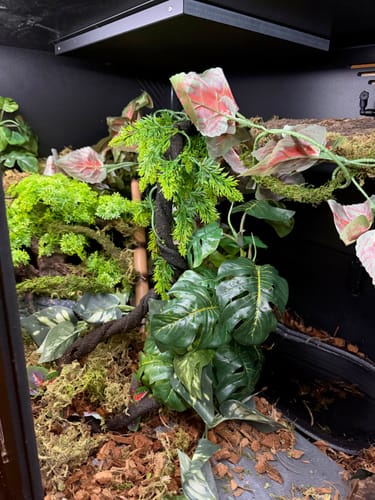 Customer photo review of XT4 BIO24 (48Lx24Dx24H) - STACKABLE