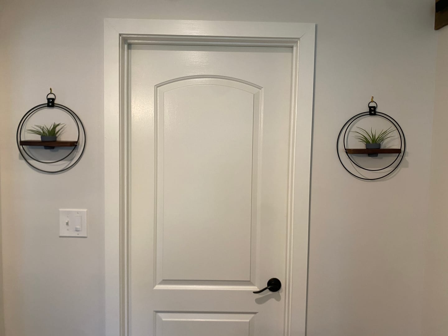 Customer photo review of Air Plant Shelf + Pot Duo