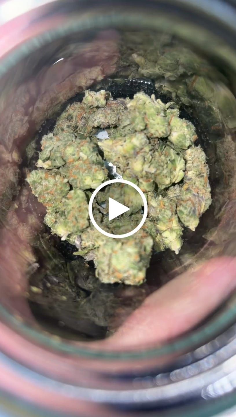 Customer video review of Indoor Smalls
