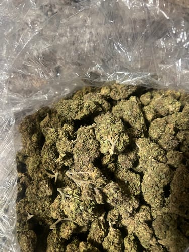 Rainbow Runtz - Bulk - Hybrid photo review