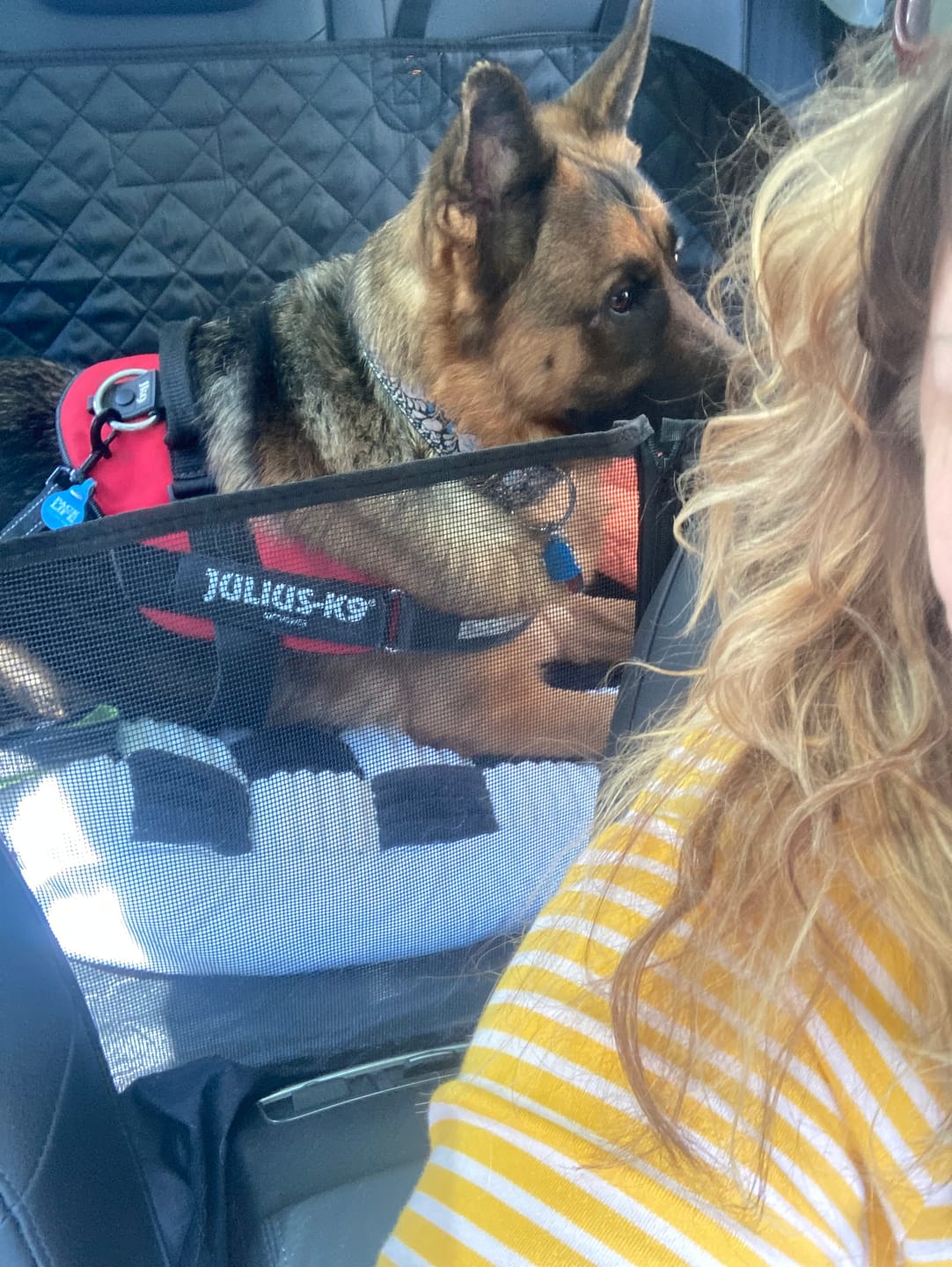 Customer photo review of CozyRider™ 2.0