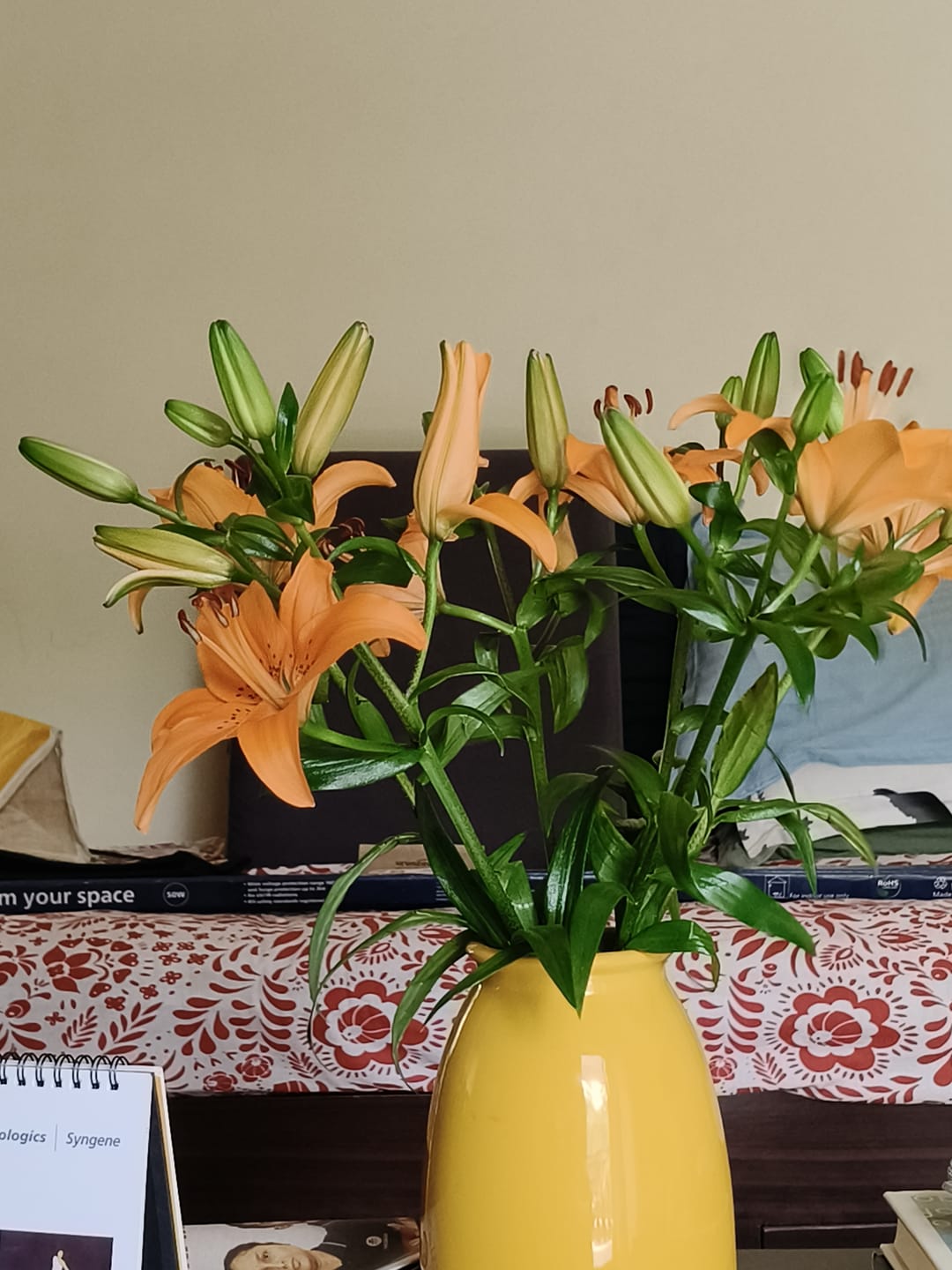 Customer photo review of Asiatic Lily