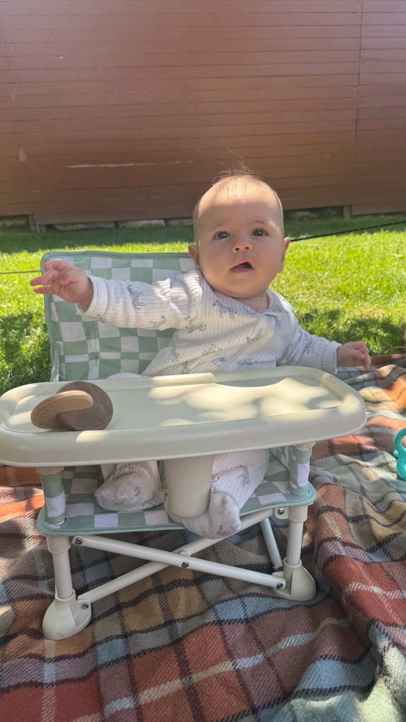 Customer photo review of Parker portable booster chair
