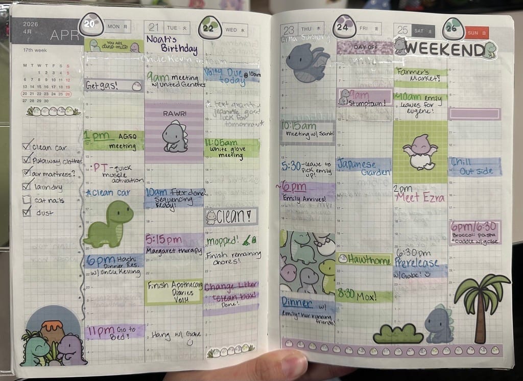 Customer photo review of Happy Dinos Variety Sticker Pack