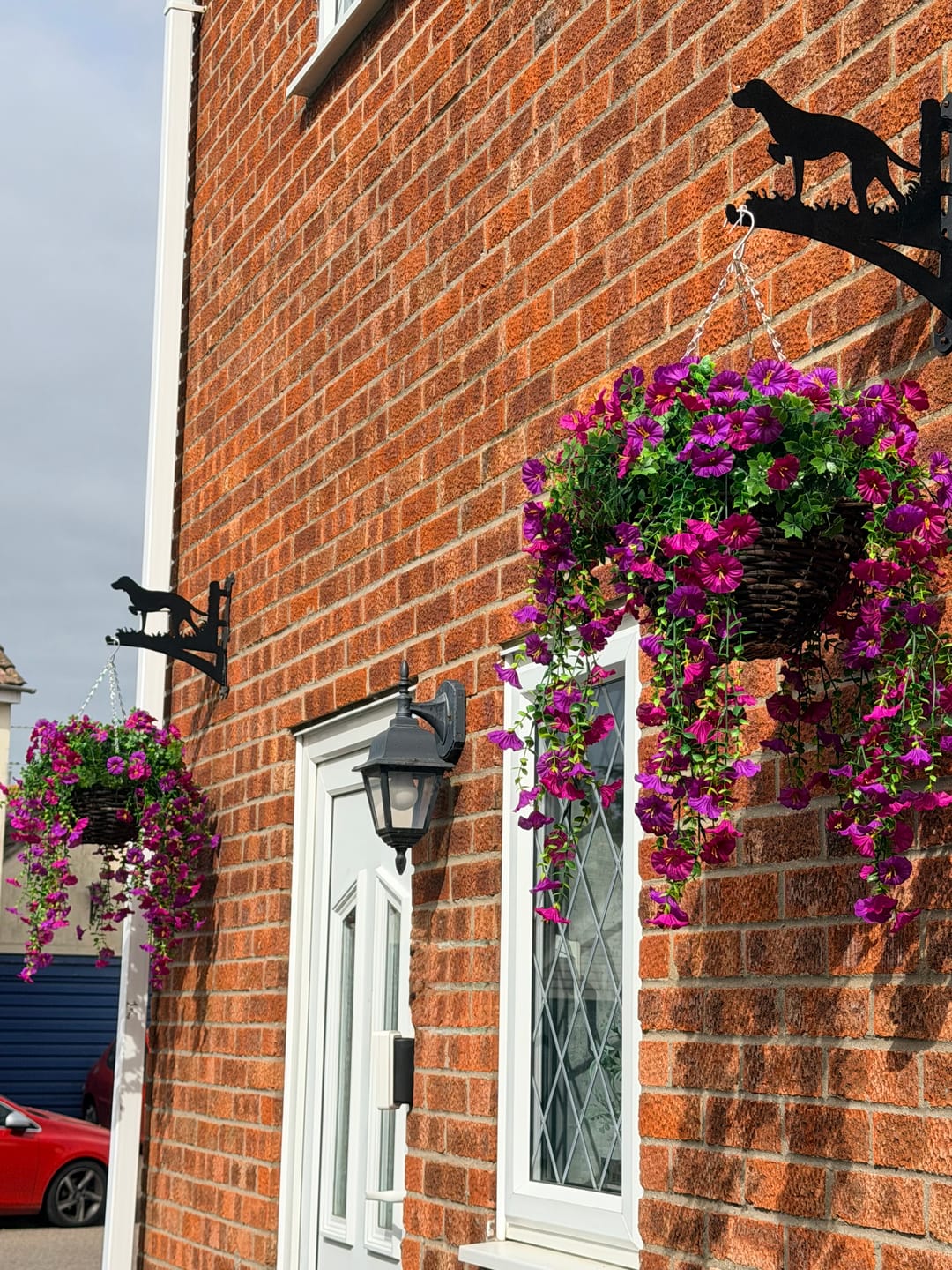 Customer photo review of Outdoor Hanging Petunia Basket - Purple