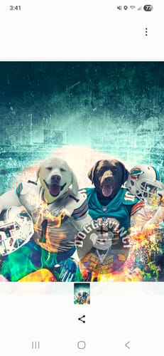 Customer photo review of 'Miami Doggos' Personalized 2 Pet Canvas