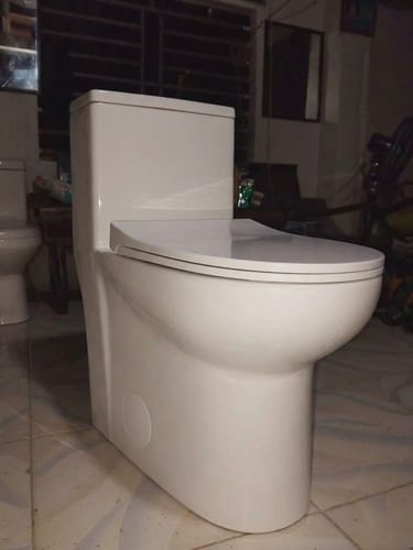 Customer photo review of Alesund - Ceramic One-Piece S-Trap Dual-Flush Elongated Toilet Bowl with Modern Design