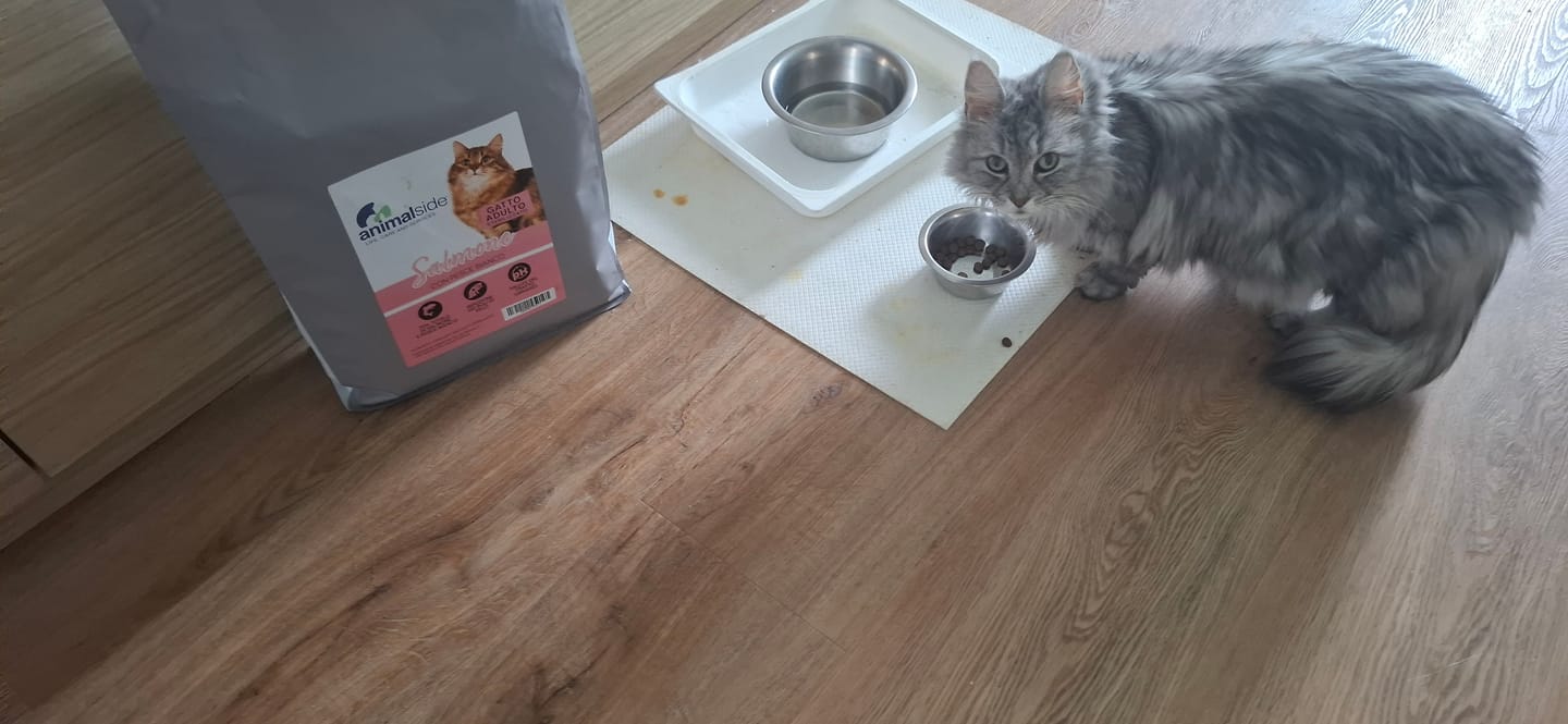 Customer photo review of Crocchette per Gatti Adulti Sterilizzati - Salmone con Pesce Bianco - Grain Free