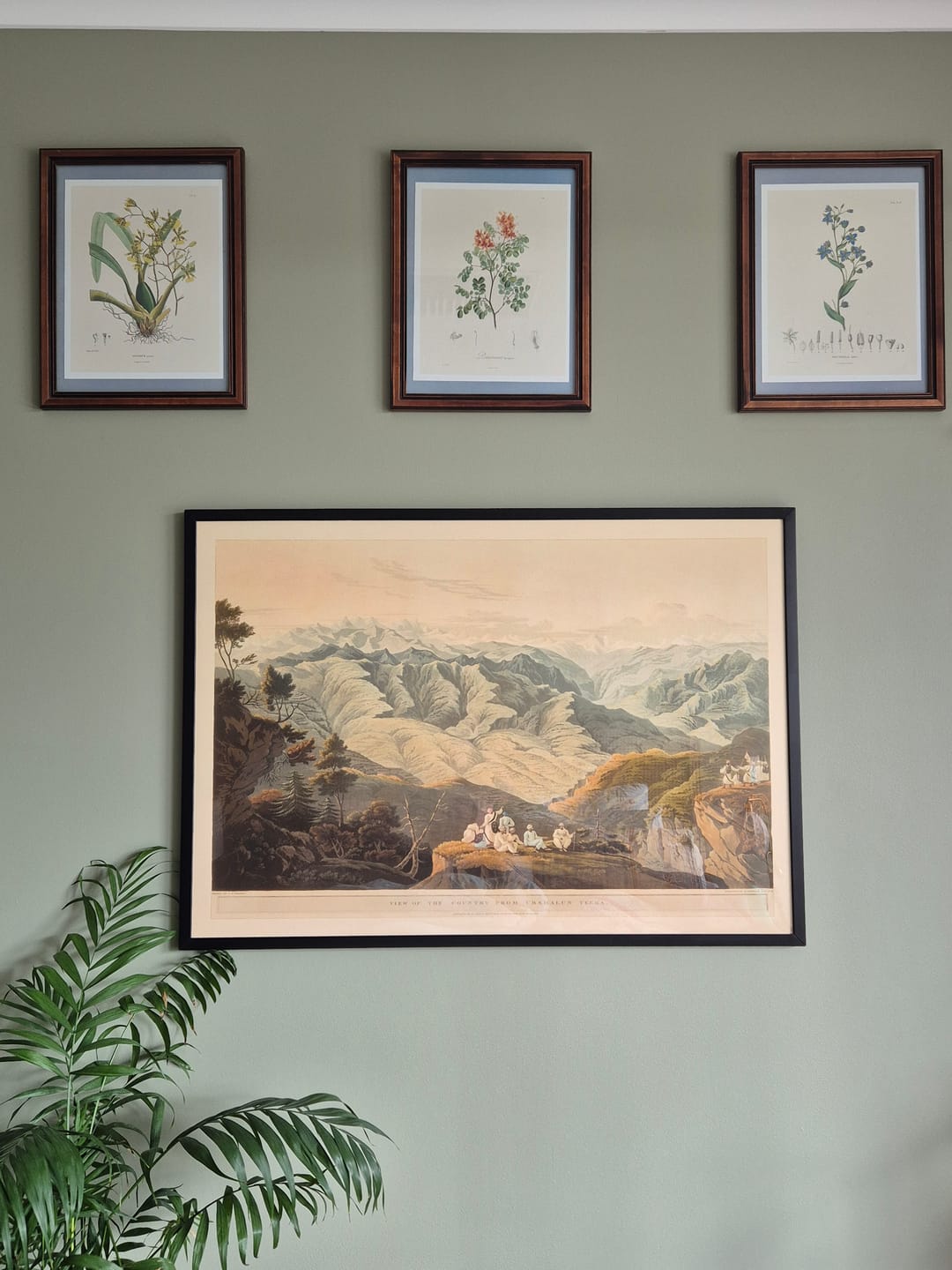 Customer photo review of First View of the Himalayas by Europeans, Robert Havell & James Fraser, 1820