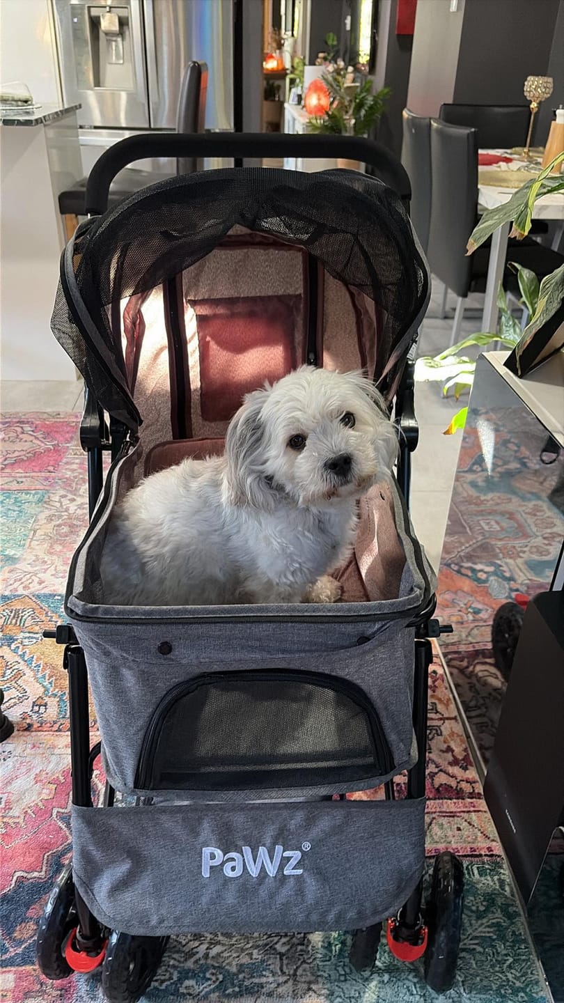 Customer photo review of Pet Dog Stroller Pram 4 Wheels