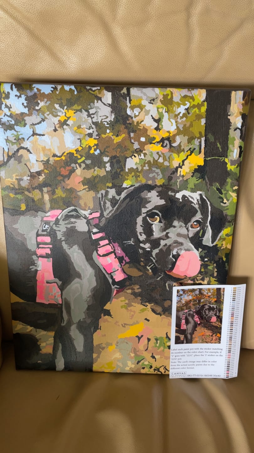 Customer photo review of Custom Paint by Numbers Kit for Personalized Artwork