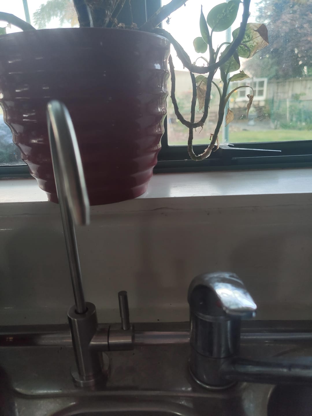 Customer photo review of UFX3 Under Sink Water Filter NZ | Removes Chlorine, PFAS & Bacteria