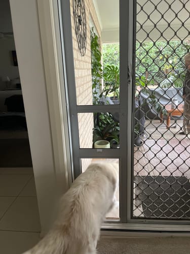 Customer photo review of Patio Pet Door Insert