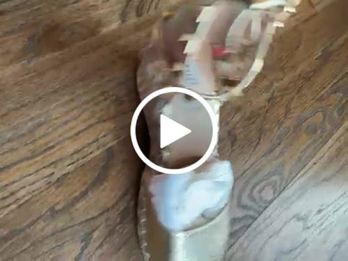 Customer video review of Garavani Rockstud Wedge Espadrilles In Light Yellow Metallic Cowhide And Raffia 852842
