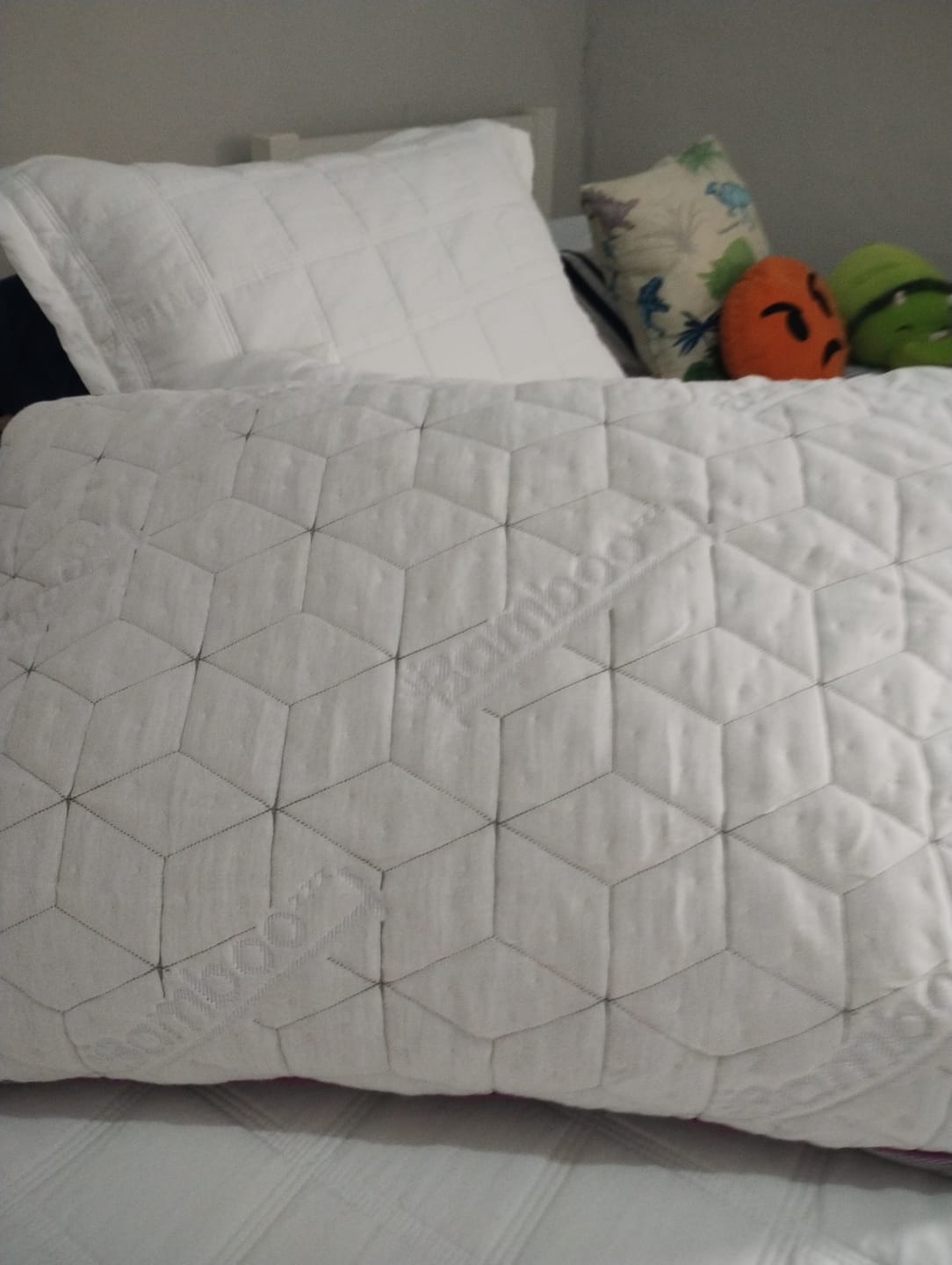Customer photo review of Kit com 2 Travesseiros IWS Snow®