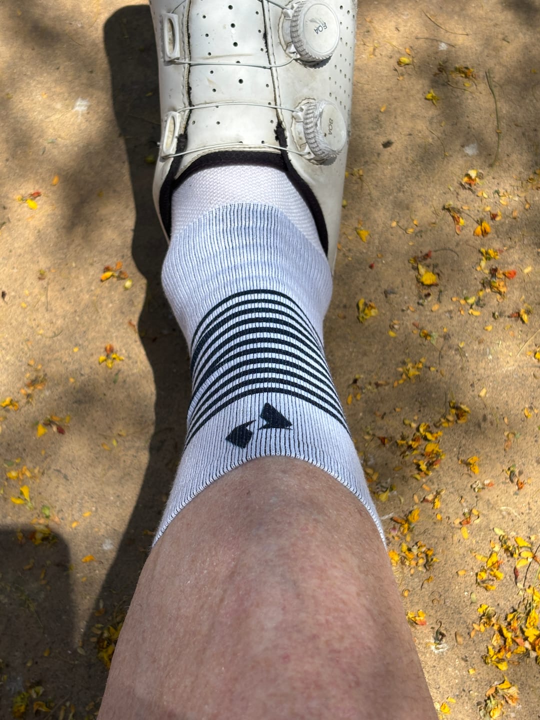 Customer photo review of Pro 6" Sock - White Stripe