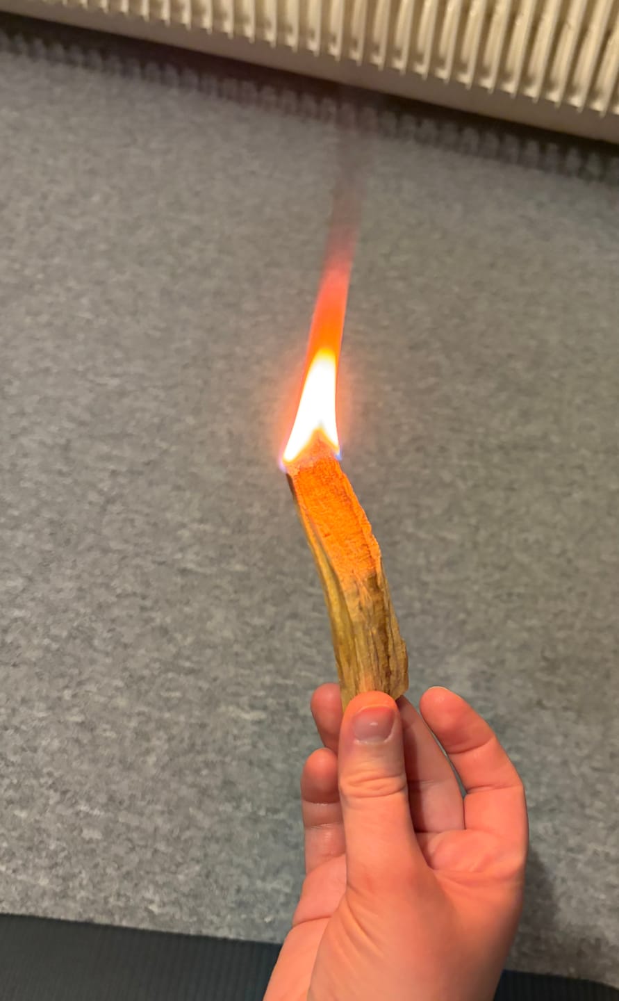 Customer photo review of Palo Santo