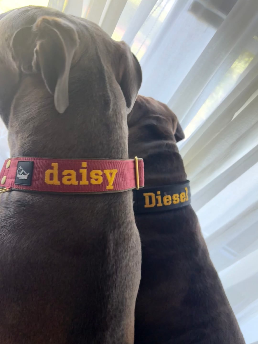 Customer photo review of Martingale halsband med namn