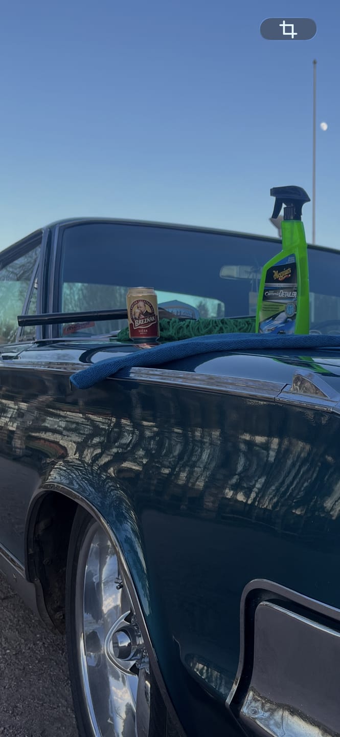 Customer photo review of MaxShine - Classic Car Duster Dammvippa