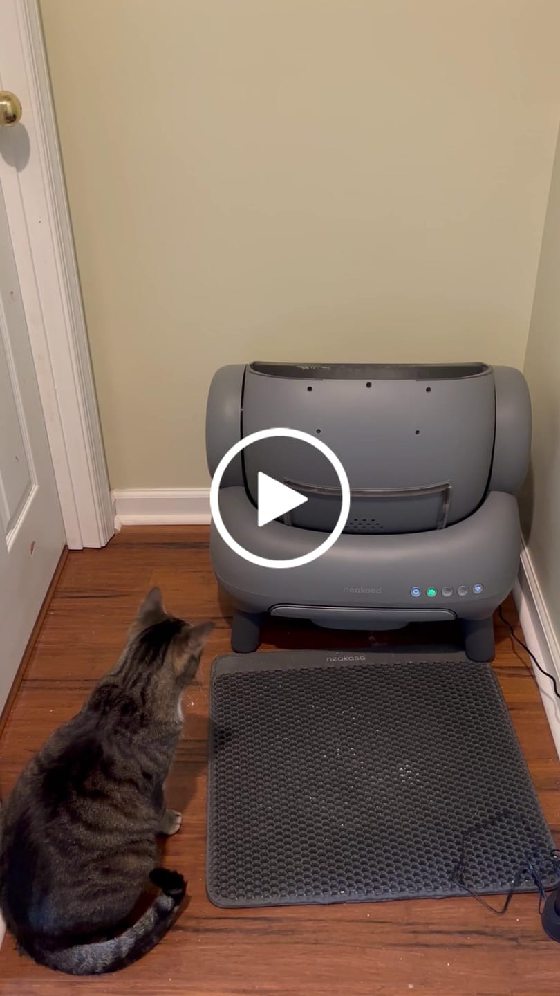 Customer video review of Neakasa M1 Plus Open Top Self-Cleaning Cat Litter Box