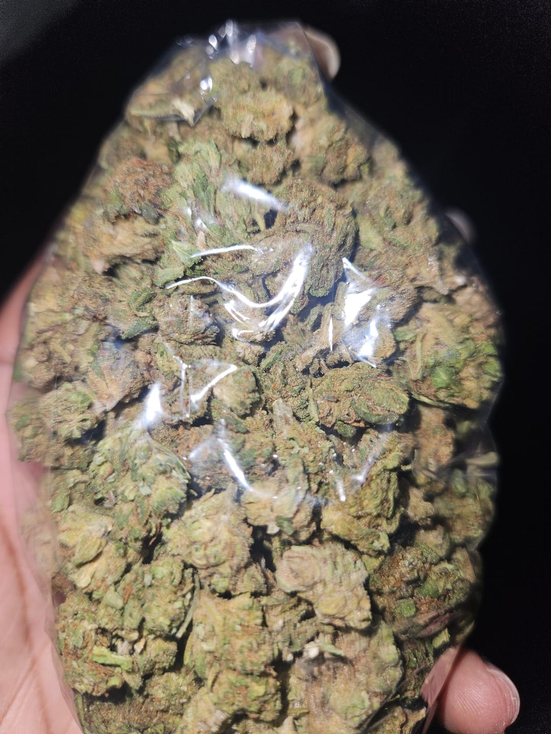 Customer photo review of Fire OG Minis - Bulk Minis - Indica