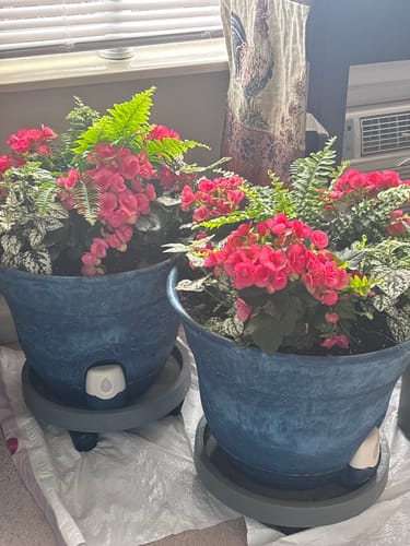 Customer photo review of Water Level Electronic Sensor for 15" Smart Self-Watering Planter