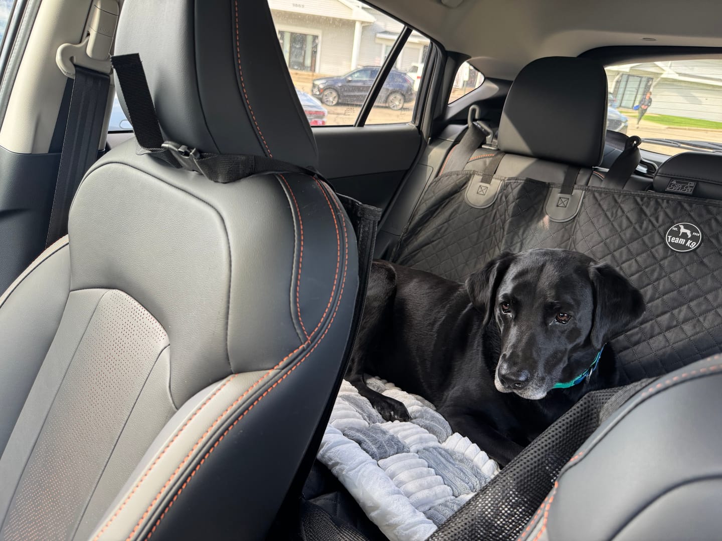 Customer photo review of Plush Backseat Dog Bed (Made For The Hard Bottom Car Seat Cover)