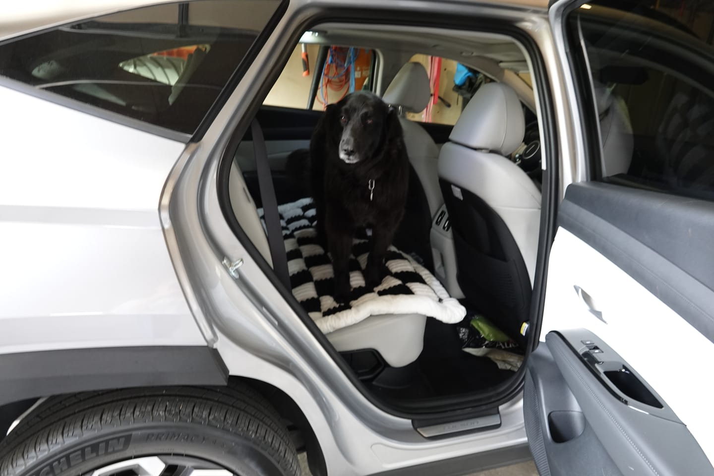 Customer photo review of Plush Backseat Dog Bed (Made For The Hard Bottom Car Seat Cover)